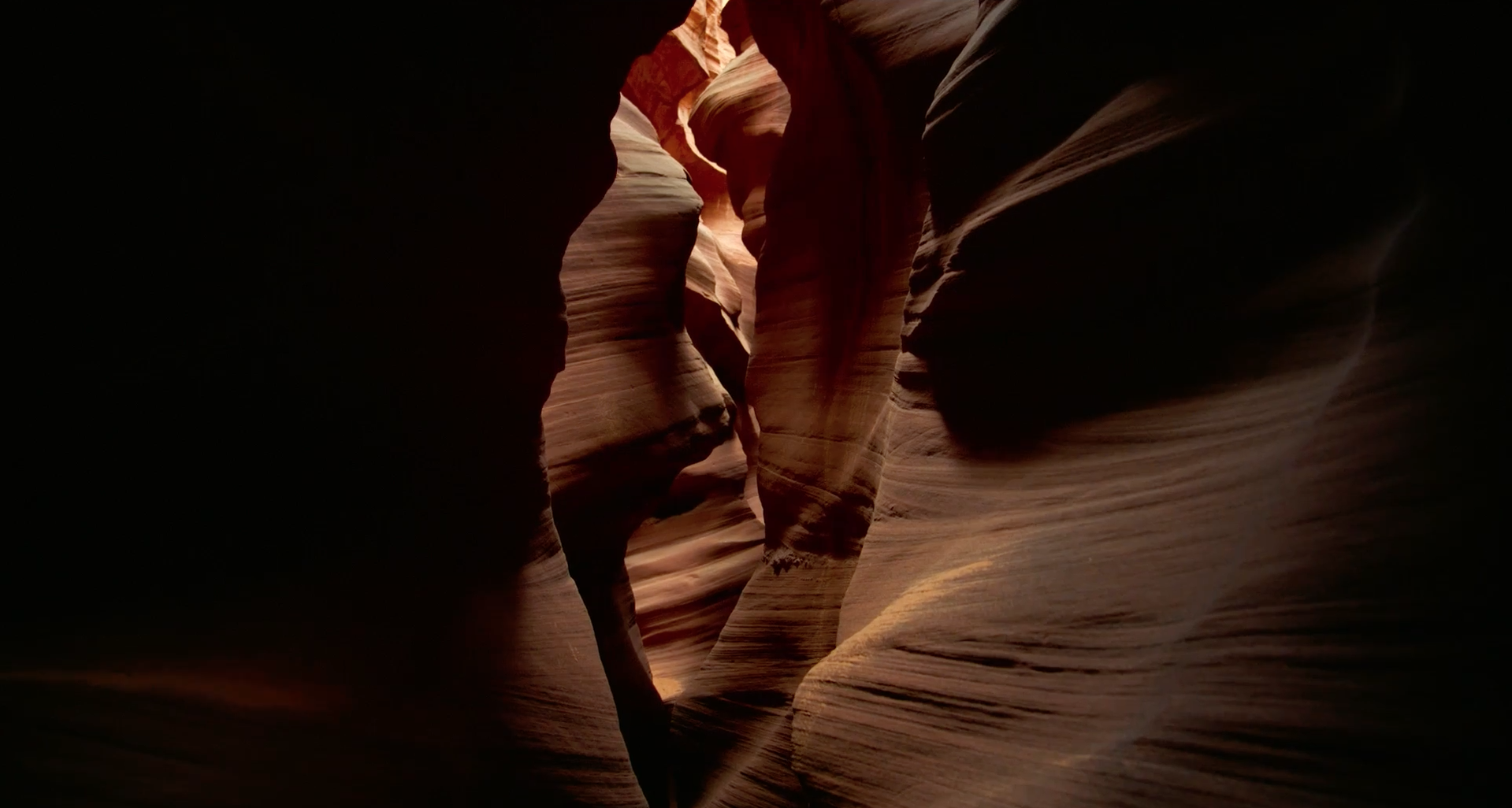 Voyage of Time: Life's Journey Visual